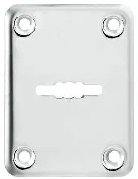 Декоративная накладка ESC081/0-SS