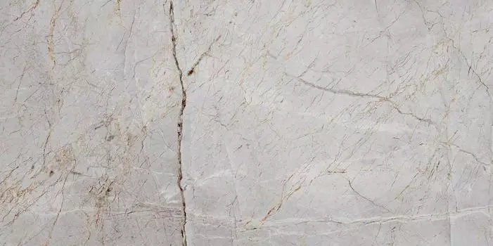 Керамогранит Silver Root Полированный 60х120