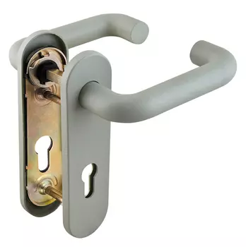 Ручка дверная DH-0433/GR NE