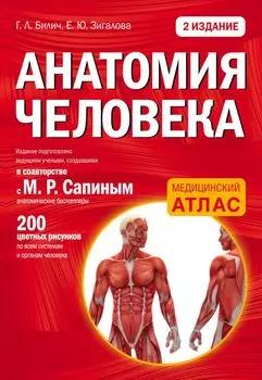 Анатомия человека: 2-е издание