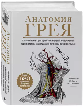 Анатомия Грея