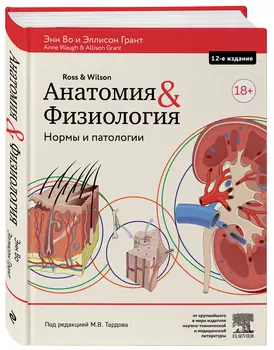 Анатомия и физиология: Нормы и патологии