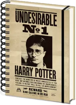 Блокнот Harry Potter: Sirius &amp; Harry 3D