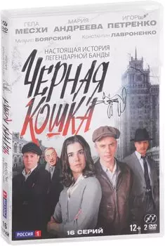 Чёрная кошка. 16 серий (2 DVD)