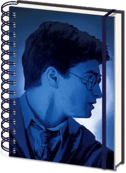 Ежедневник Harry Potter: Magic Portrait 3D