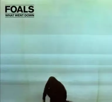 Foals – What Went Down (LP)