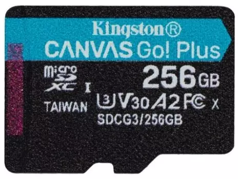 Карта памяти Kingston microSDXC 256GB (SDCG3/256GBSP)