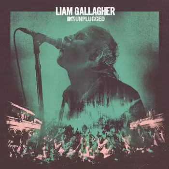 Liam Gallagher – MTV Unplugged (LP)