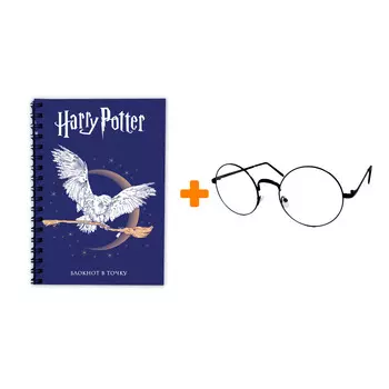 Набор Harry Potter блокнот Hedwig + очки