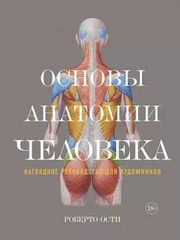 Основы анатомии человека: Наглядное руководство для художников