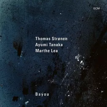 Thomas Stronen Trio – Bayou (LP)