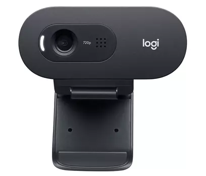 Веб-камера Logitech C505 (черный)