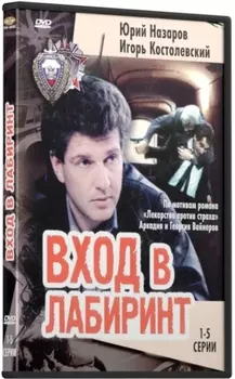 Вход в лабиринт. 5 серий (DVD)