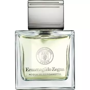 Дезодорант-стик Ermenegildo Zegna