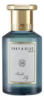 Парфюмерная вода Shay &amp; Blue