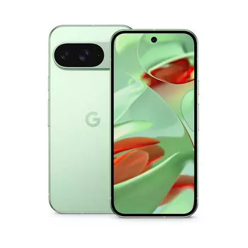 Смартфон Google Pixel 9 12/256Gb Wintergreen (Зеленый) Global
