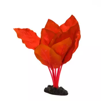 AquaFantasy Декор для аквариума Анубиас Бартера, 13см