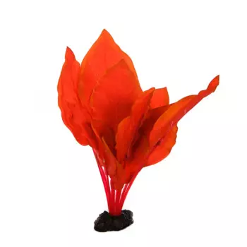 AquaFantasy Декор для аквариума Анубиас Бартера, 20см