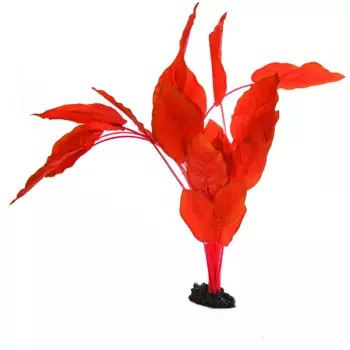 AquaFantasy Декор для аквариума Анубиас Бартера, 40см