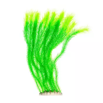 Aquafantasy Декор для аквариумов Растение зеленое, 10x8x40 см
