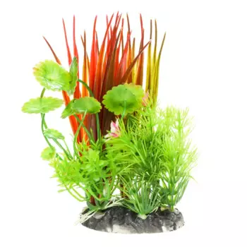 AquaFantasy Композиция №6 6,5*5,5*15см