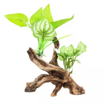 AquaFantasy Коряга с растениями 12*5,5*11см