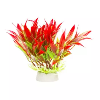 AquaFantasy Растение красно-зеленое 10*10*12см