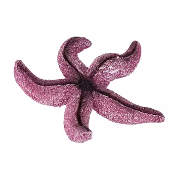 AquaFantasy Звездочка 12*11*3см