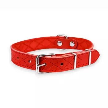 Аркон Ошейник для собак Новара, обхват шеи 32-44 см, ширина 2 см, красный