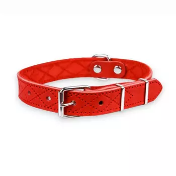 Аркон Ошейник для собак Новара, обхват шеи 37-51 см, ширина 2,5 см, красный
