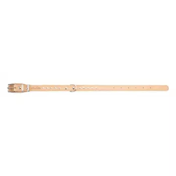 Аркон Ошейник для собак кожаный, обхват шеи 32-44 см, ширина 2 см, бежевый