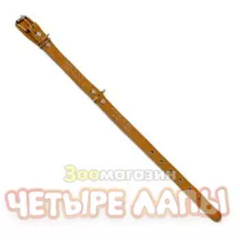 Аркон Ошейник для собак о25п Аркон 25