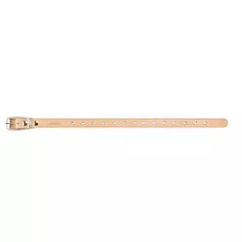 Аркон Ошейник для собак кожаный, обхват шеи 40-54 см, ширина 2,5 см, бежевый