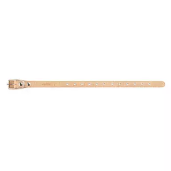 Аркон Ошейник для собак Джунгли, обхват шеи 54 см, ширина 2,5 см, бежевый