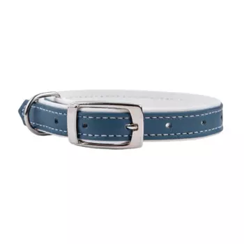 Аркон Ошейник для собак Pastel, 2 см, синий