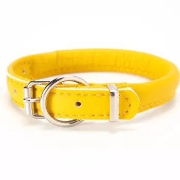 Аркон Ошейник круглый для кошек и собак мелких пород Candy, обхват шеи 21-29 см, желтый