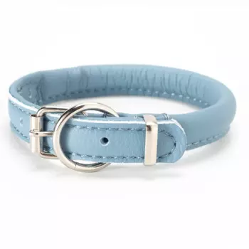 Аркон Ошейник круглый для кошек и собак мелких пород Candy, обхват шеи 21-29 см, голубой