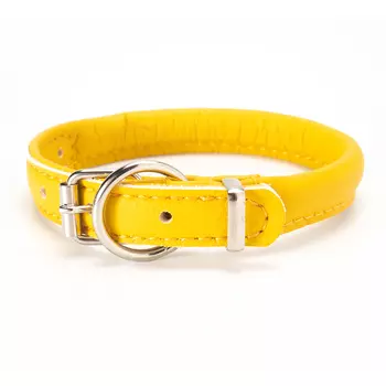 Аркон Ошейник круглый для кошек и собак мелких пород Candy, обхват шеи 27-35 см, желтый