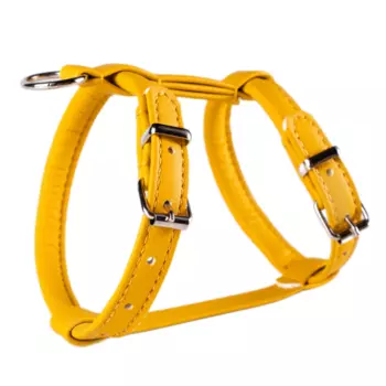 Аркон Шлейка круглая для собак Candy, обхват шеи 27-35 см, обхват груди 37-45 см, желтая