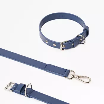 Barq Кожаный комплект Поводок + Ошейник - Oro, M, Голубика