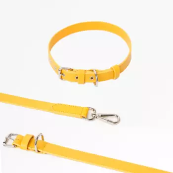 Barq Кожаный комплект Поводок + Ошейник - Oro, M, Лимон