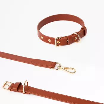 Barq Кожаный комплект Поводок + Ошейник - Oro, M, Шоколад