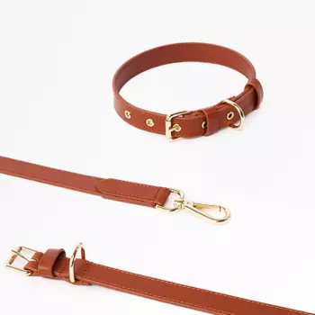 Barq Кожаный комплект Поводок + Ошейник - Oro, XS, Шоколад