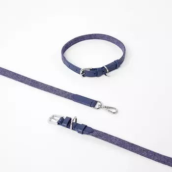 Barq Кожаный комплект Поводок + Ошейник - Tesoro, M, Синий индиго