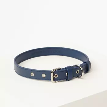 Barq Кожаный ошейник - Oro Collar, M (32-38 см), Голубика