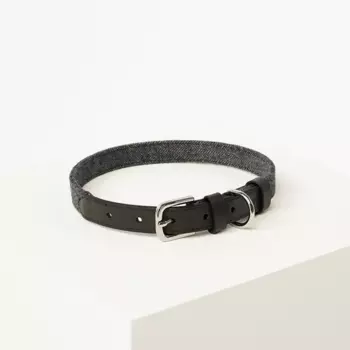 Barq Кожаный ошейник - Tesoro Collar, L (37-47 см), Черный графит