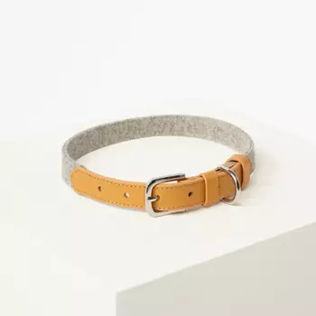 Barq Кожаный ошейник - Tesoro Collar, L (37-47 см), Карамельно-серый