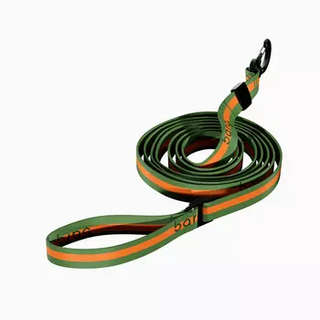 Barq Поводок для собак Stripes Sling Long Green Mandarin, 5 м, зелено-оранжевый