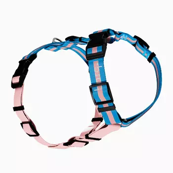 Barq Шлейка для собак Stripes Combo Sky Tender, S-M, обхват шеи 32-46 см, обхват груди 46-55 см, голубо-розовый