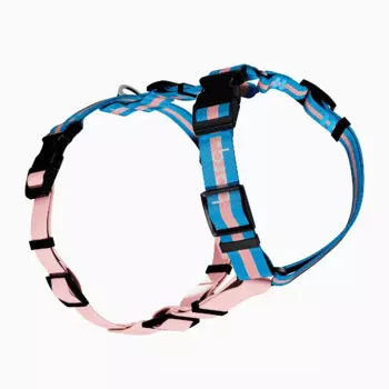 Barq Шлейка для собак Stripes Combo Sky Tender, XS-S, обхват шеи 26-39 см, обхват груди 37-47 см, голубо-розовый